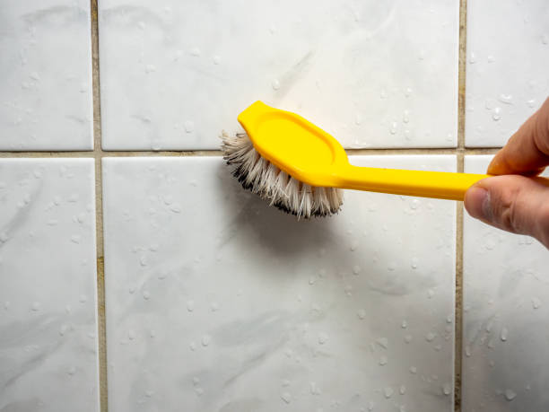 Best Professional Mold Removal  in Bodfish, CA