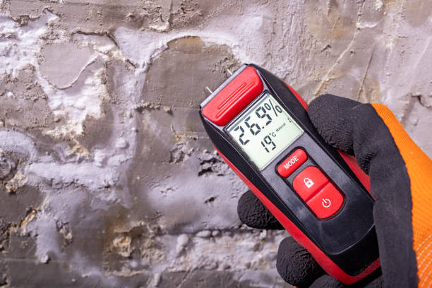 Best Mold Testing  in Bodfish, CA