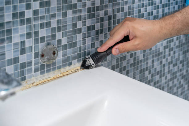 Best Residential Mold Removal  in Bodfish, CA