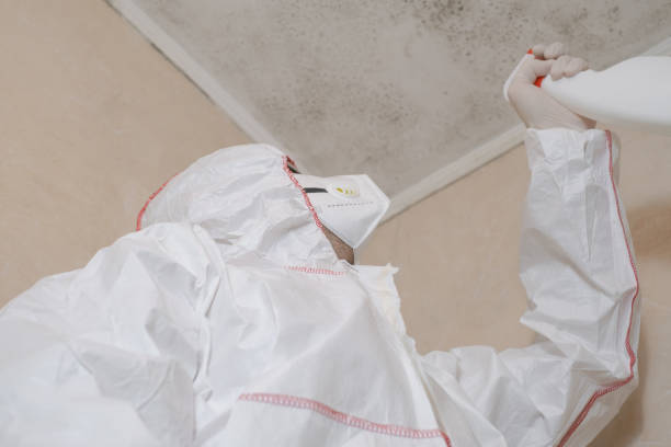 Best Toxic Mold Removal  in Bodfish, CA
