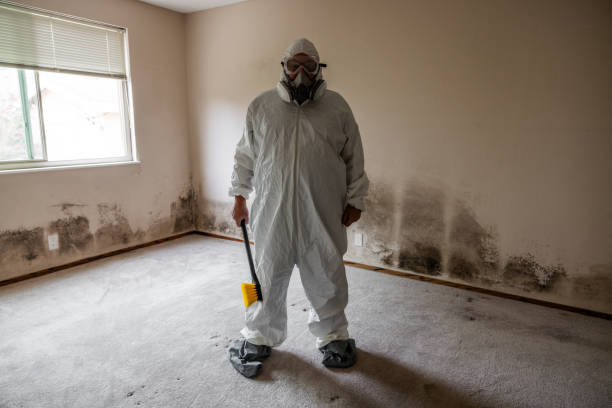 Best Office Mold Removal Services  in Bodfish, CA