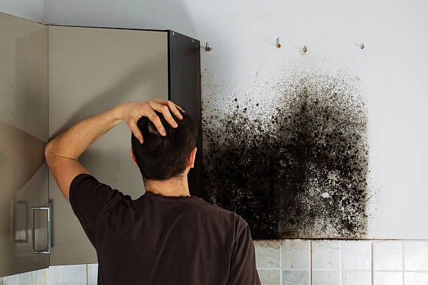 Best Black Mold Removal  in Bodfish, CA